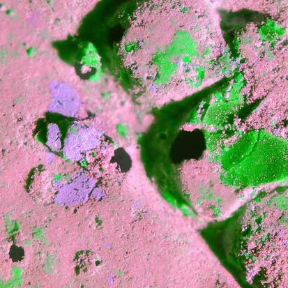 Symbolbild zur Optischen Bauforensik: Schimmel | © Andreas Rapp